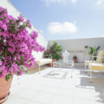 Gallery Thumbnail 11
