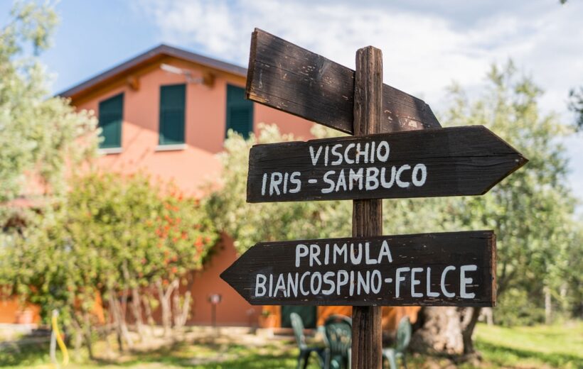 La Piana degli Ulivi