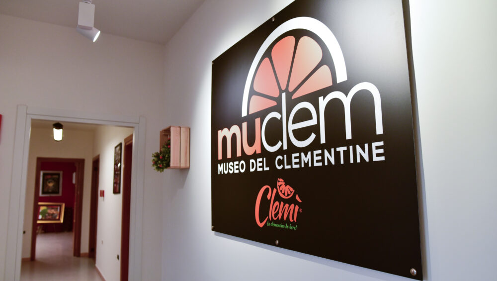 Muclem Museo del Clementine