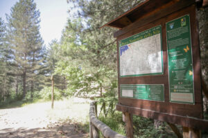 Tour nel Parco Nazionale della Sila