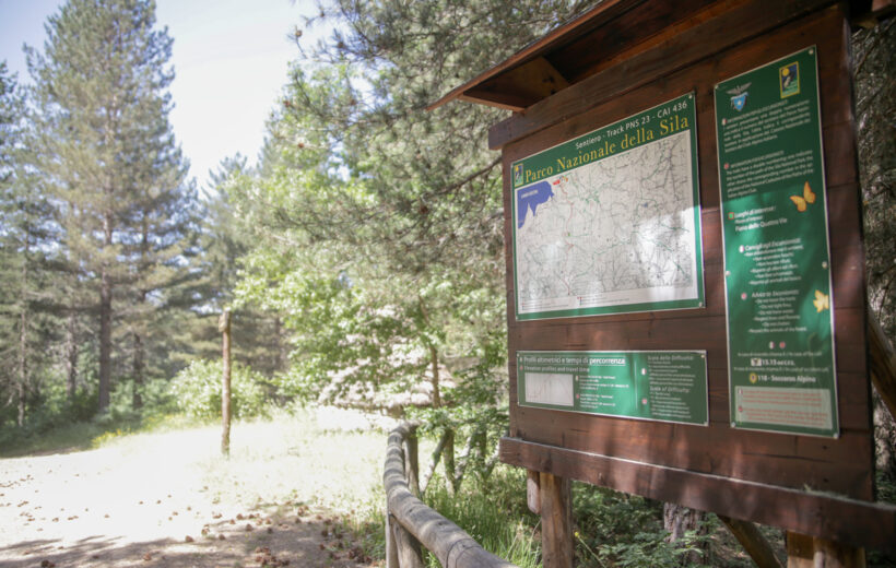 Tour nel Parco Nazionale della Sila