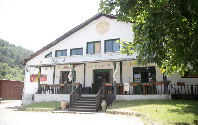 Mercato Silano Falcone