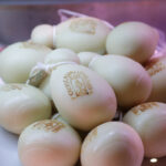 Gallery Thumbnail 5
