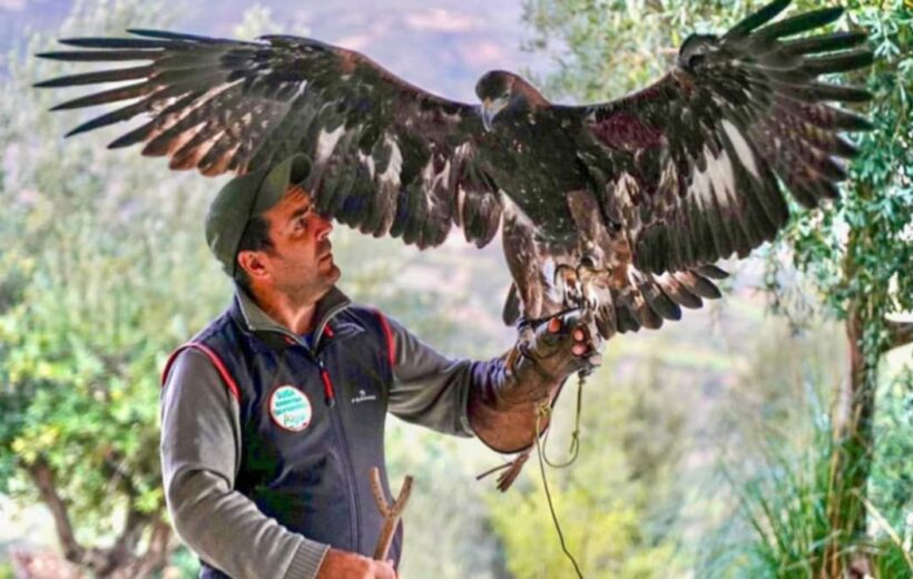 Falconieri dei Setteventi del Pollino