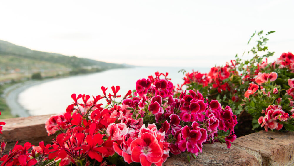 Bandiere Blu Sibaritide. Roseto Capo Spulico. foto Gabriele Tolisano