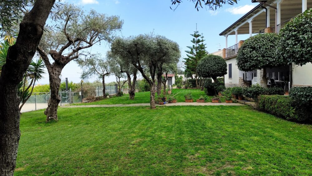 alt="Agriturismo a Rossano tra agrumeti e tradizione contadina"