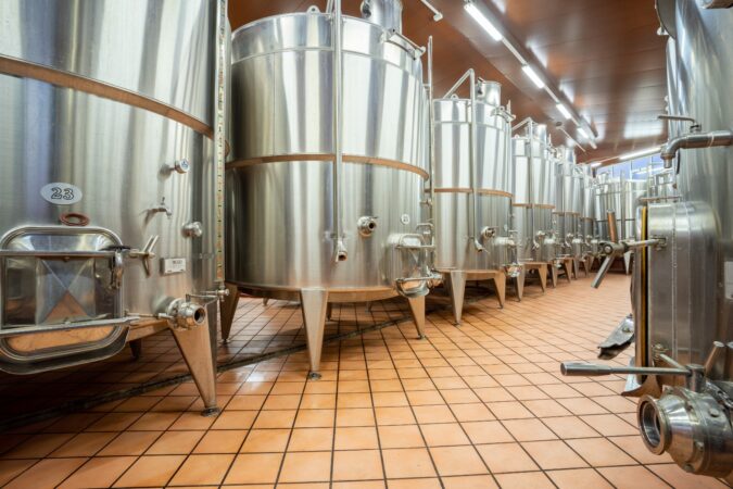 Tour dell’Azienda Vinicola