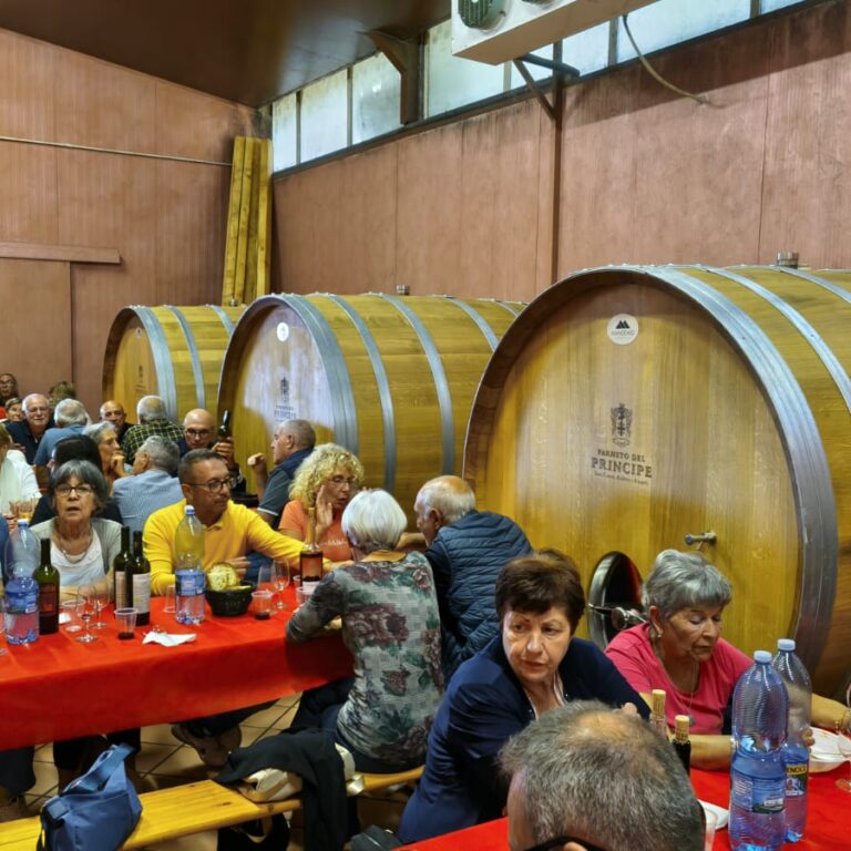 San Martino nella Sibaritide: festa del vino nuovo e tradizioni