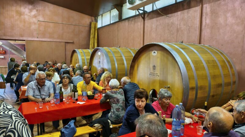 San Martino nella Sibaritide: festa del vino nuovo e tradizioni