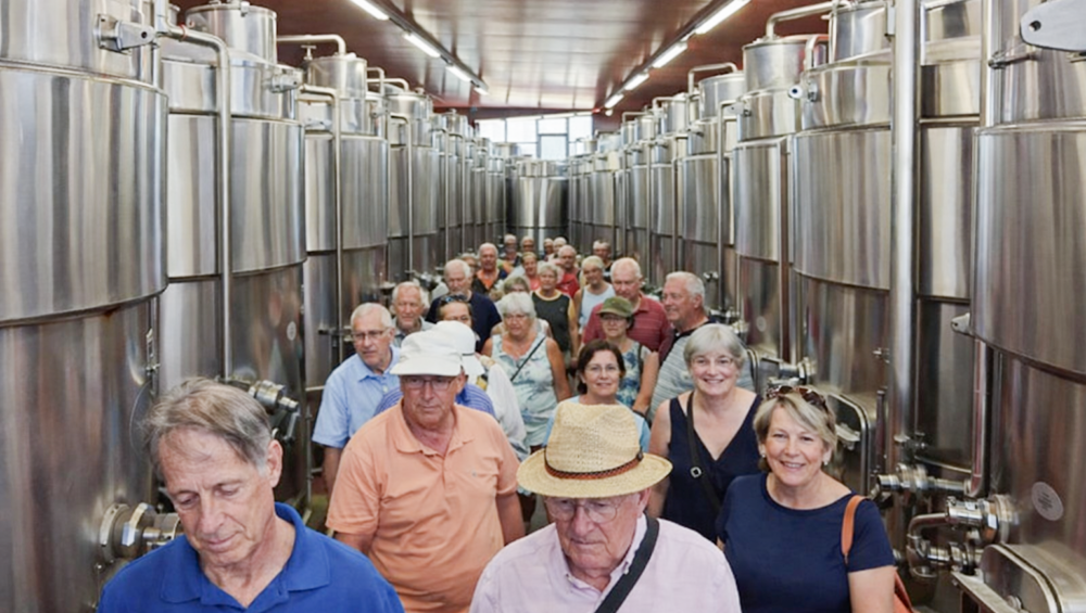 turismo e agricoltura nella Sibaritide tra aziende agricole ed esperienze autentiche