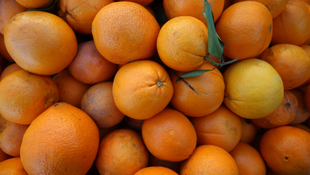 Clementine della Piana di Sibari